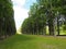 Forests next to the orangerie palace Potsdam Germany