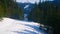 Forests on slope of Zwieselalm mount, Gosau, Austria