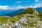 forests spreading on hills of Pirin national park in Bulgaria