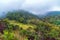 Forests in Sri Lanka.