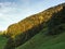 Forests in the Thur River valley or in the Thurtal valley