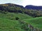 Forests in the Thur River valley or in the Thurtal valley