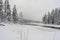 Foresty winter lake or pond in the woods. Trees reflections. Snow covered woods background. Tall trees pines, firs in woods stand