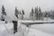 Foresty winter lake or pond in the woods. Trees reflections. Snow covered woods background. Tall trees pines, firs in woods stand