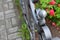 Forged gray fence on a flower bed against a background of red roses.