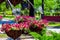 Forged metal architectural form with petunias pots closeup