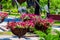 Forged metal architectural form with petunias pots closeup