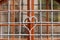 Forged metal grille with a heart in front of the window