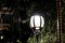 Forged vintage lantern illuminates the leaves of the tree. Bright light emanating from a street lamp