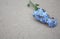 Forget-me-not blue spring flower, floral forget me not decor empty cardboard background