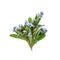 Forget Me Not Edible Flower Herb Bouquet