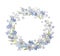 Forget Me Not Fairy Wreath Illustration. Hand Drawn Flower Wreath Clip Art