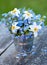 Forget-me-not and narcissus flowers