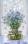 Forget-me-not vase window tulle