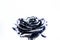 Forging and sculpture. Beautiful black silver flower. Floral shop. Metallic steel color. Flower covered metallic paint