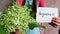 Forgiveness - beautiful woman with bouquet of white flowers and word on card