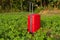 Forgotten Baggage. Red plastic suitcase with long handle