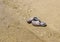 Forgotten beach Slippers by the sea