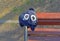 Forgotten child cap with cute monster face with big eyes hangs on wooden bench