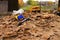 Forgotten children`s toys on a pile of sand under the autumn foliage