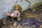 Forgotten doll in Chernobyl, Ukraine