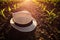 A forgotten farmer's hat is lying on the ground in the midst of small seedlings grow in the newly cultivated soil