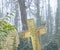 Forgotten grave stones, london