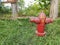 Forgotten Guardian: A Hydrant Untouched