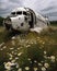 A forgotten military plane its rusting frame now covered in a blanket of daisies and wild roses. Abandoned landscape. AI