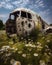 A forgotten military plane its rusting frame now covered in a blanket of daisies and wild roses. Abandoned landscape. AI