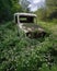 A forgotten military truck overgrown with a carpet of white clover. Abandoned landscape. AI generation