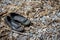 Forgotten pair of girls shoes on the beach