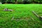 A forgotten ruined cemetery overgrown with grass.