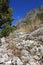 Forgotten stone road in a secluded part of Gradac, Split-Dalmatia County, Croatia. Dangerous path for settlers. Countryside in