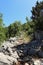 Forgotten stone road in a secluded part of Gradac, Split-Dalmatia County, Croatia. Dangerous path for settlers. Countryside in