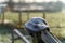 Forgotten Tranquility: Lonely Hat in Winter Landscape