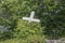 Forgotten white cross in the woods with plants growing around it - tilted and almost overgrown on hillside with more trees in