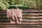 Forgotten women`s jacket on a Park bench. selective focus