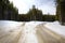 Fork along a Slippery Snowy Forest Road