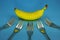 Fork and Bannana