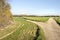 Fork in a dirt road