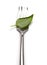 Fork with green leaf on white. Vegan concept