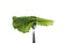 On a fork hold a leaf of green salad on a white isolated background.