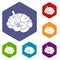 Fork is inserted into the brain icons set hexagon