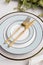 Fork and knife on empty plate at elegance table set