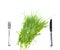 Fork, knife and fresh green grass.