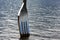 Fork in the lake, closeup