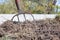 Fork with red handle for composting, recycling lawn and garden waste. Forks stuck in compost. Making and mixing compost in the