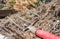 Fork with red handle for composting, recycling lawn and garden waste. Forks stuck in compost. Making and mixing compost in the