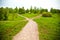 Fork in the road in the park and dandelions